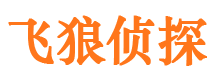 理塘市侦探调查公司